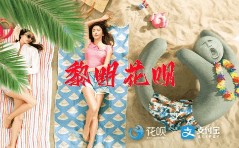 偷鸡摸狗花呗